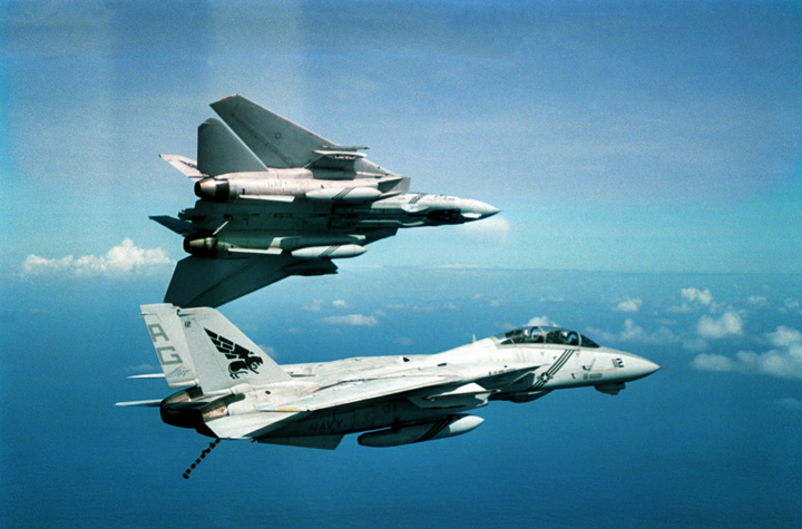 Operation: Pin Prick   (F-14B)