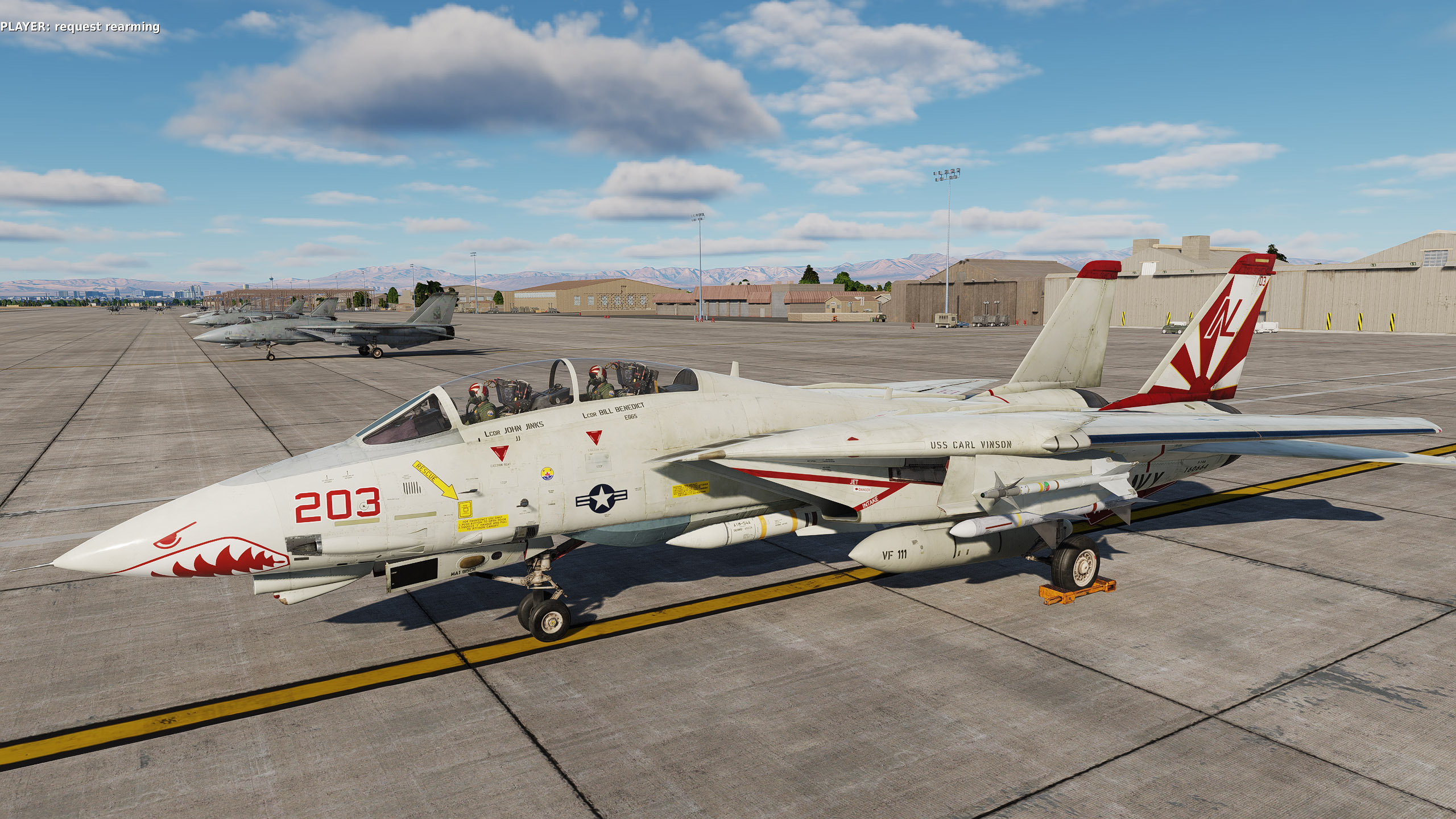 F-14A VF-111 skins part2