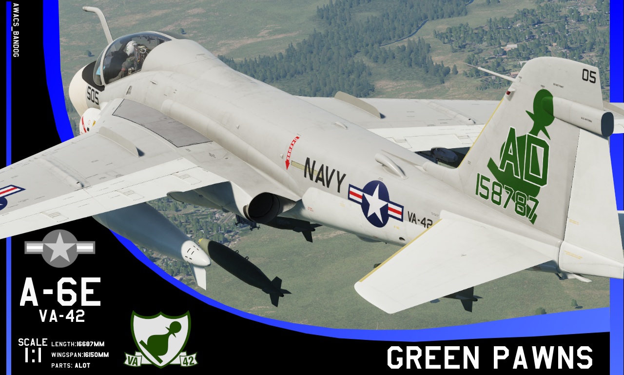 VA-42 “The Green Pawns” A-6E
