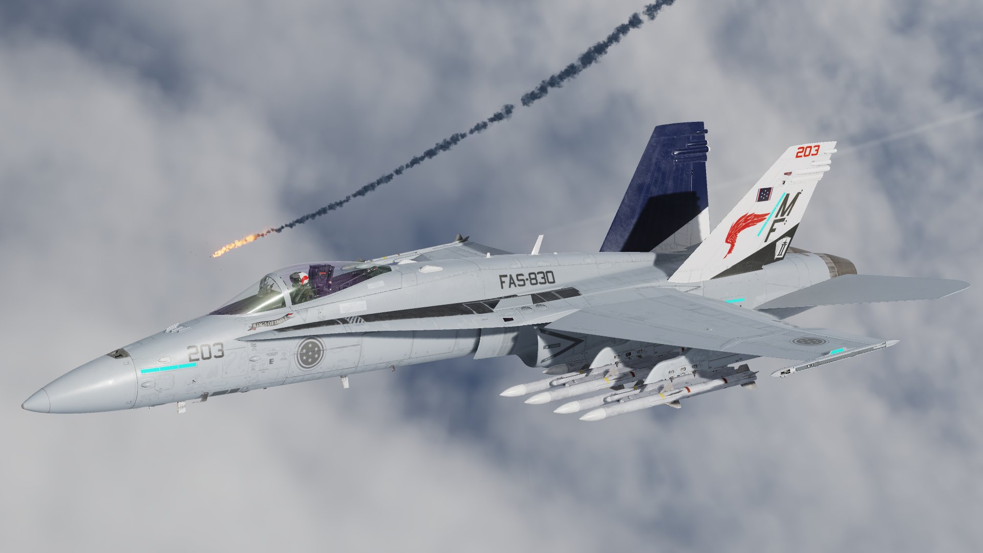 ACE COMBAT8  WINGS OF THEVE "REX" F/A-18 skin