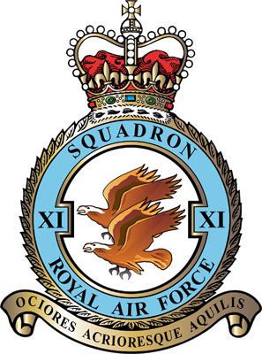 RAF XI (No 11) Squadron Fictional Winter Camo Livery (F-16C)