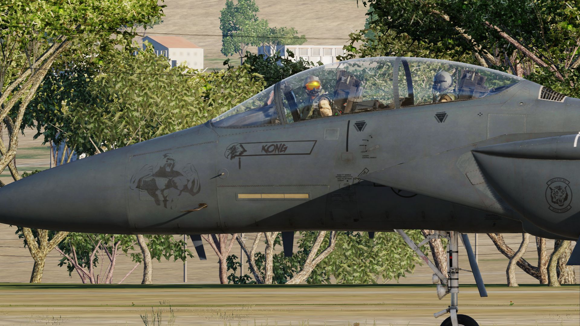F-15E Strike eagle MO 90-241 "kong"