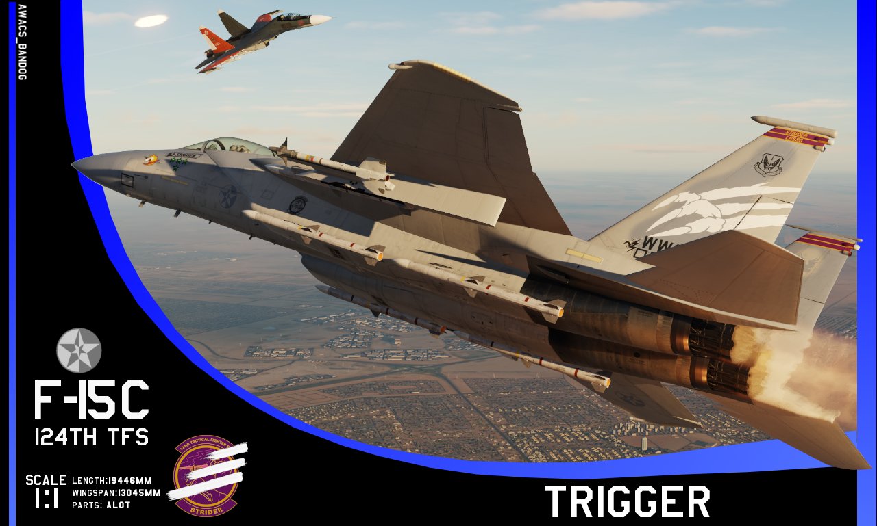 Ace Combat - 124th Tactical Fighter Squadron "Trigger" F-15C