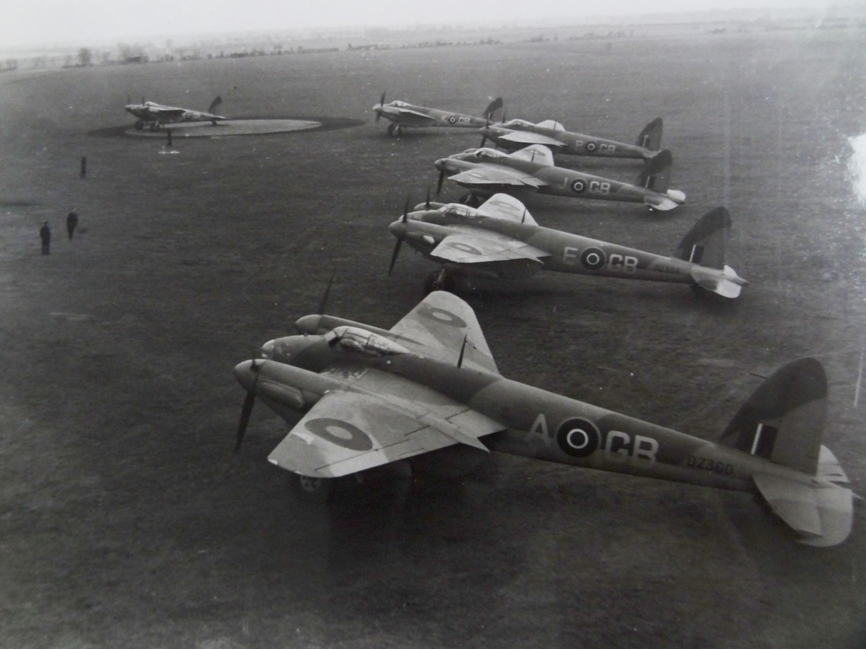 Mosquito - Siren Tours 1