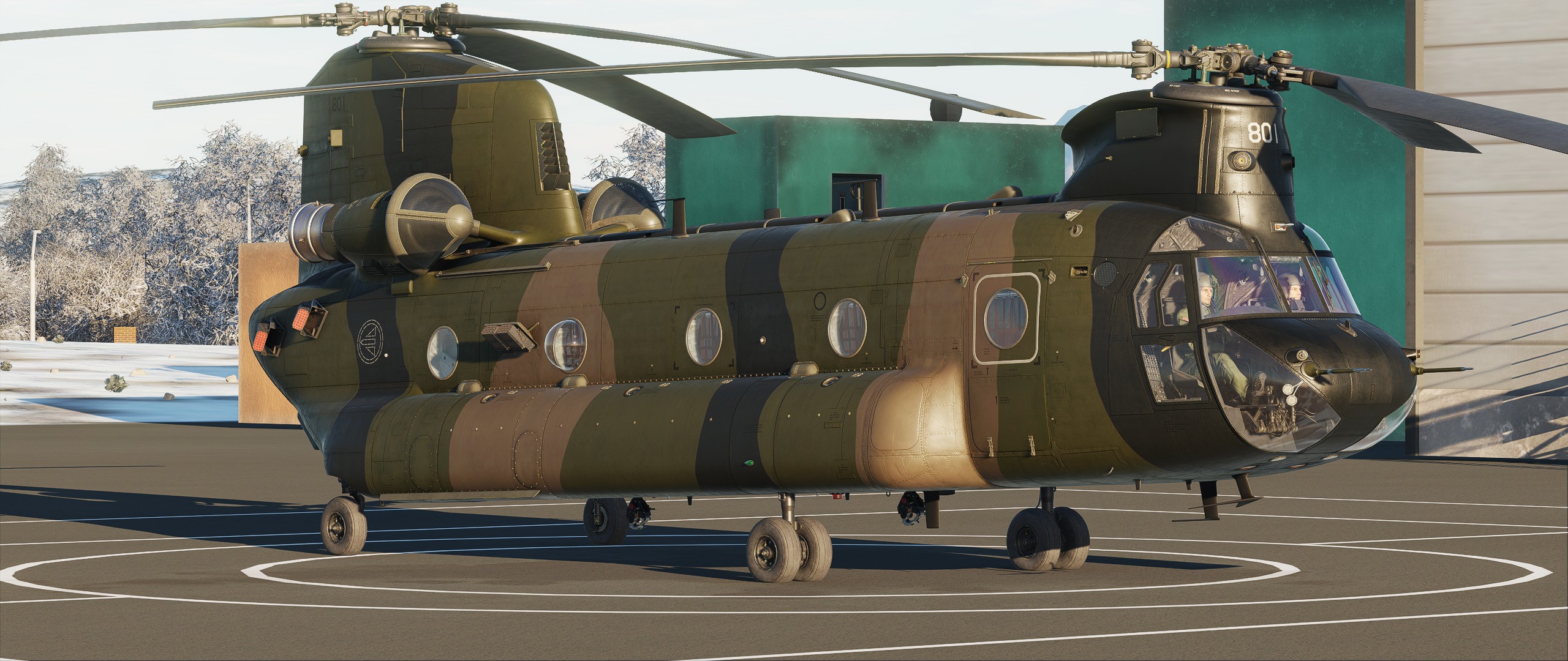 CH-47 RNoAF 339 SQN Camouflage (Fictional)