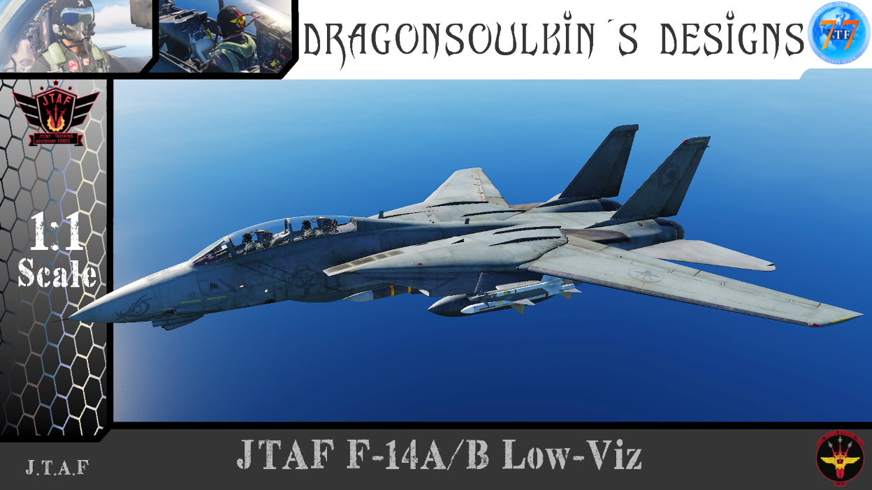 (Fictional) F-14 JTAF Low-Viz
