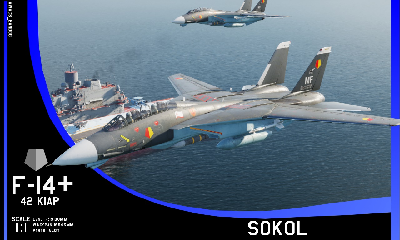 Ace Combat - Yuktobanian Navy - 42nd Shipborne Fighter Aviation Regiment 'Sokol'