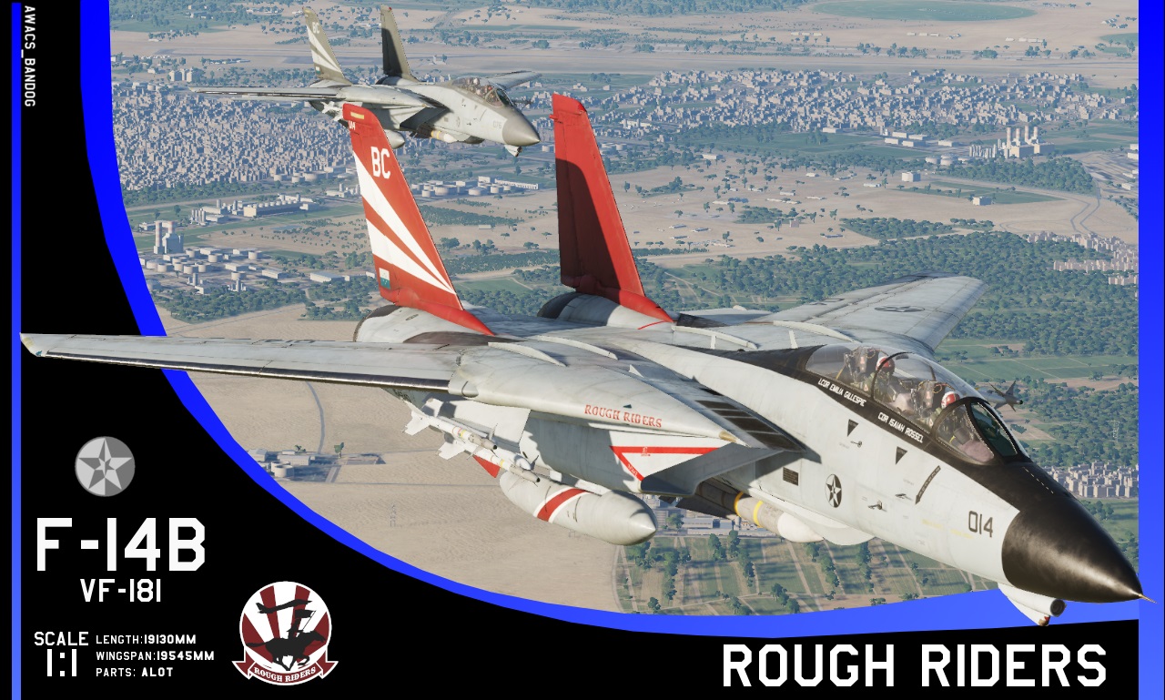 Ace Combat - Fighter Squadron 181 "Rough Riders"