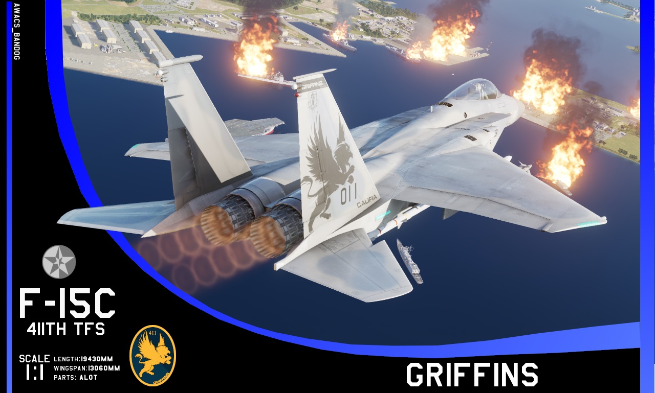 Ace Combat - 411th Tactical Fighter Squadron "Griffins" Califia Air National Guard F-15C