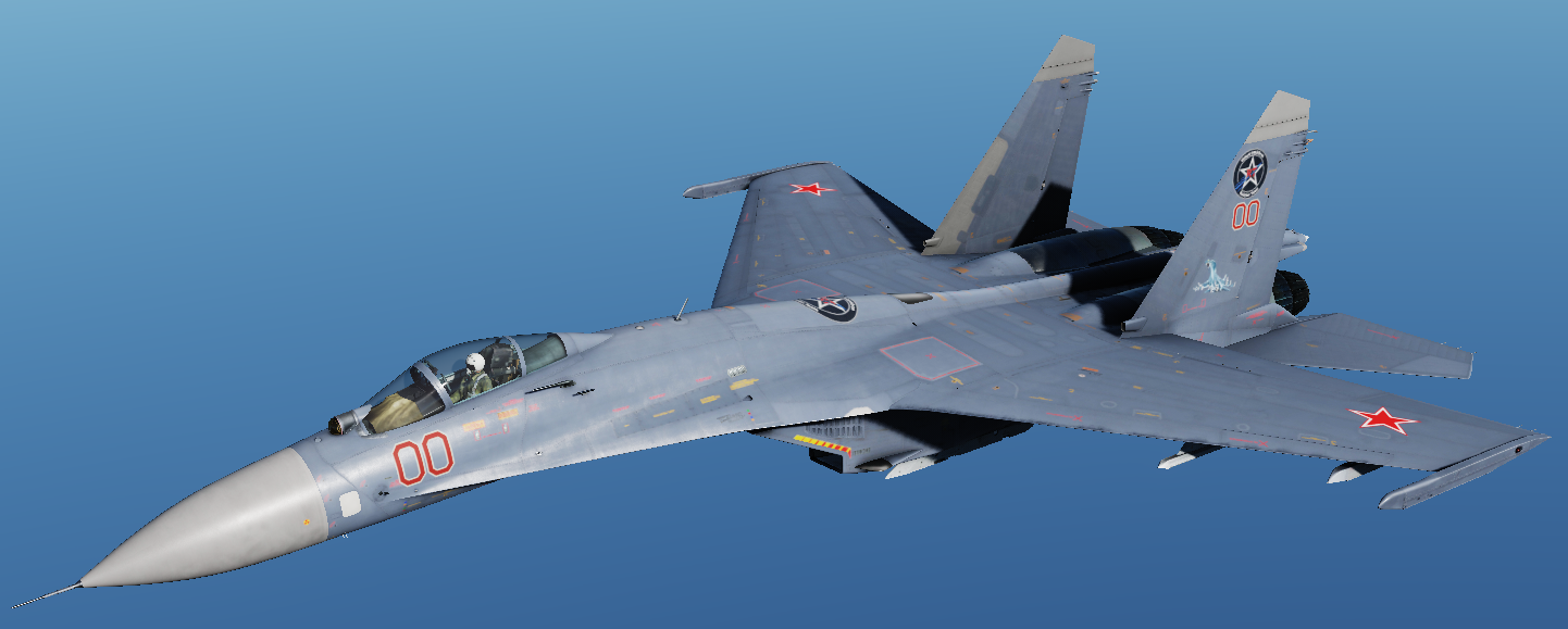 Су-27 Горячие Скалы "Russian Team"