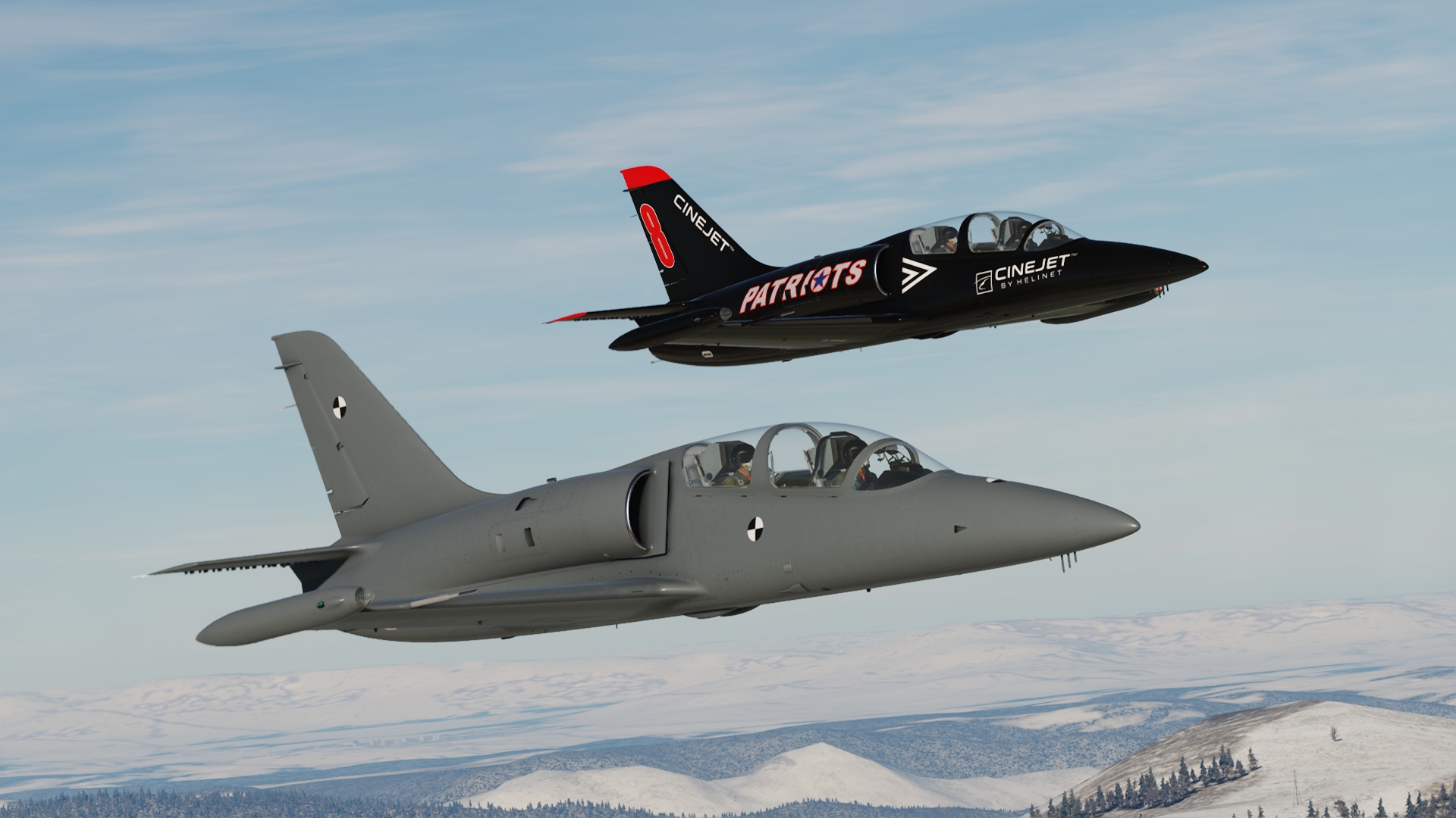 Patriots Jet Team Top Gun Maverick