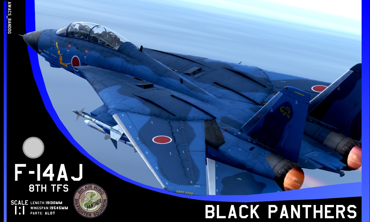 JASDF 8th Tactical Fighter Squadron F-14AJ