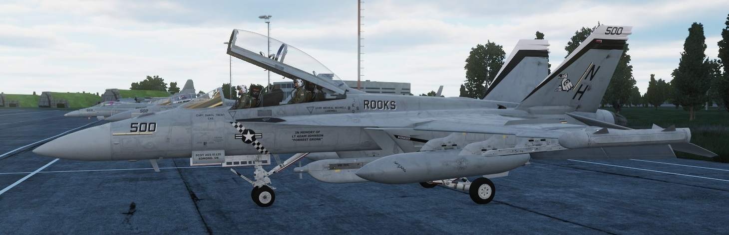 VAQ-137 "ROOKS" Skin 2024 