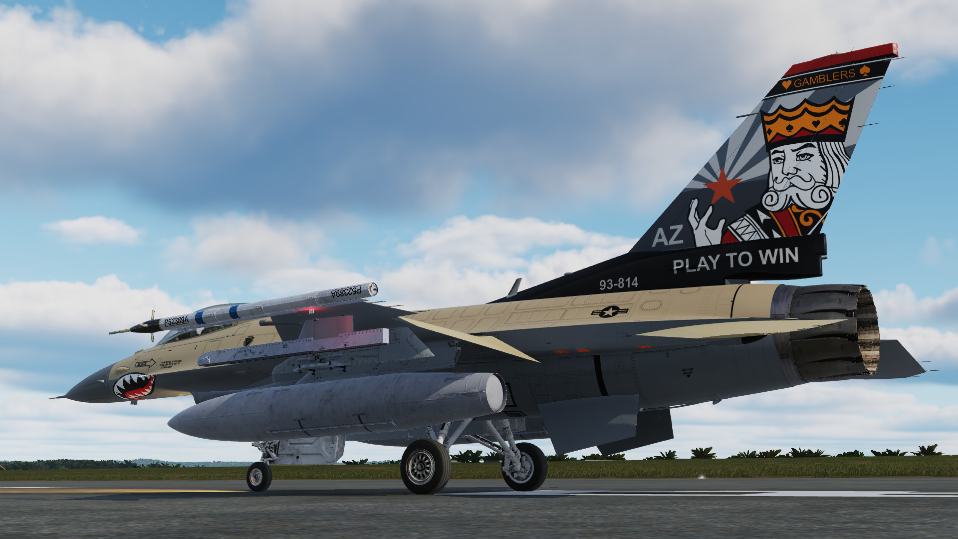 Arizona Air National Guard 21FS New Livery