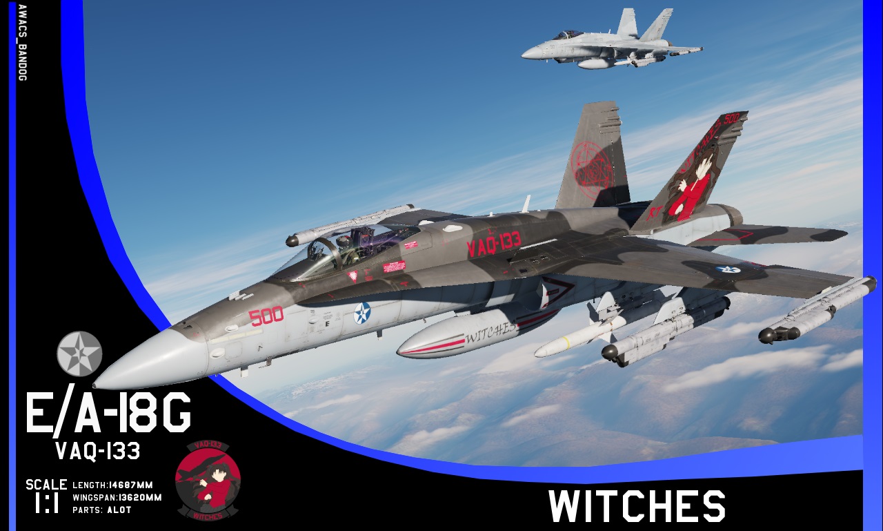 Ace Combat - Electronic Attack Squadron 133 'Witches' E/A-18