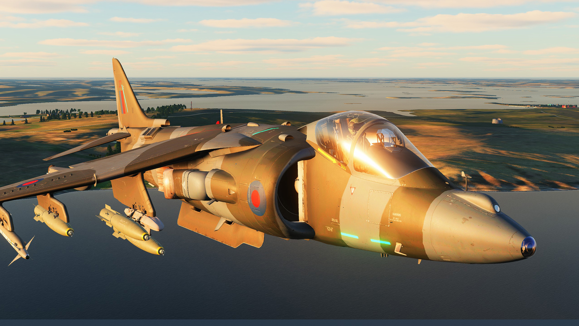 AV8B Harrier 1(F) Sqd RAF Falklands War livery (Group B 3 Aircraft)