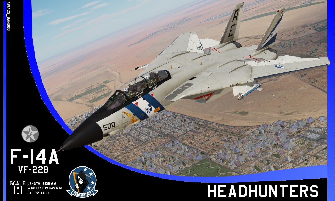 Ace Combat - Fighter Squadron 228 "Headhunters" (1976)