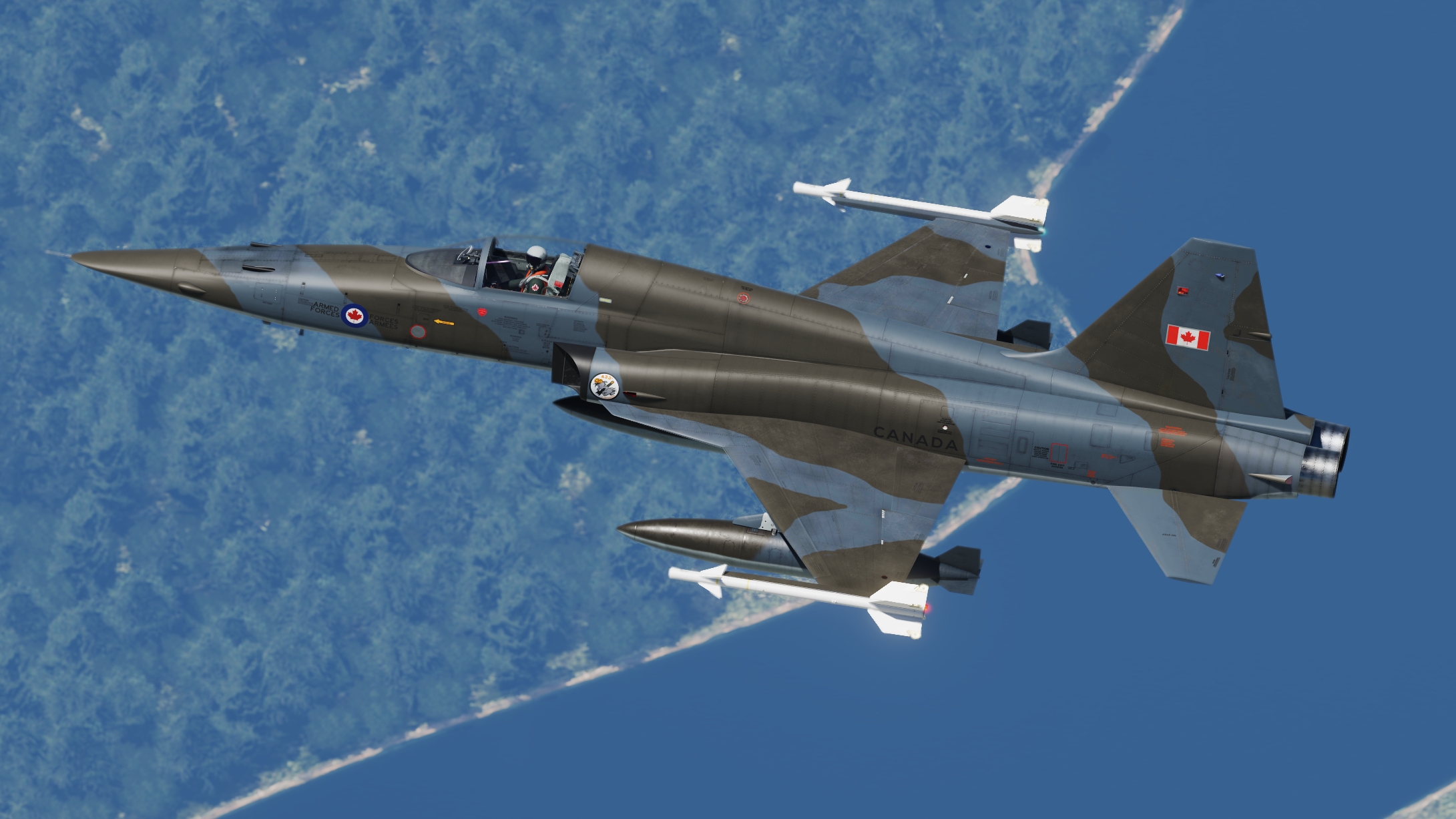 433 & 434 Squadron Early 80's 3-Tone camo