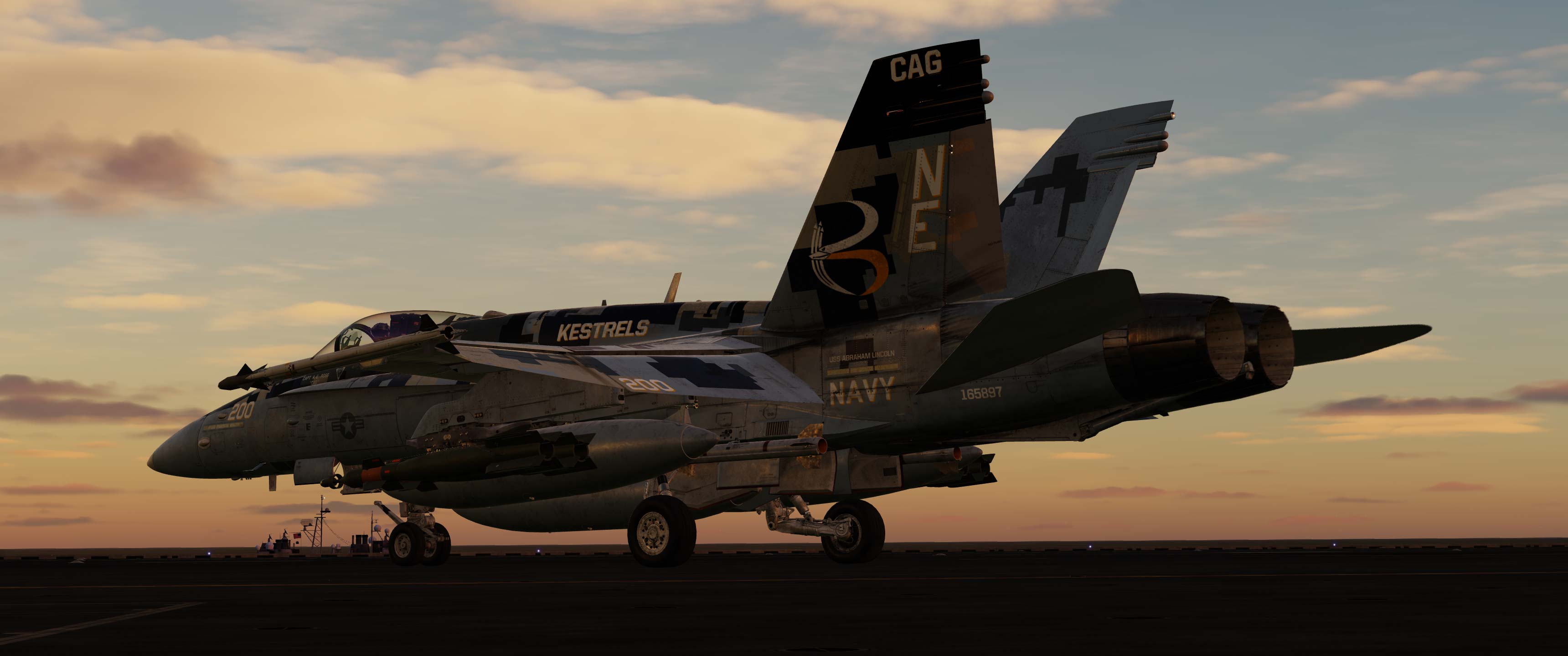 F/A-18C Hornet CAG KESTRELS 2011