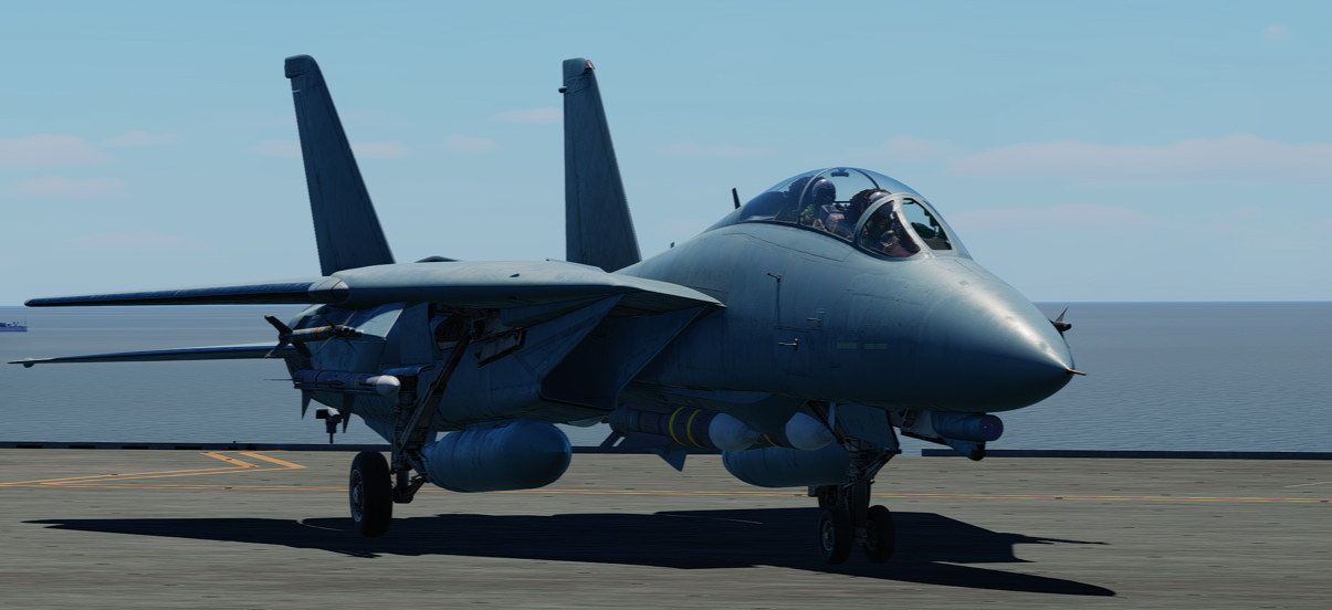 Blank "Fresh Overhaul" F-14 A/B