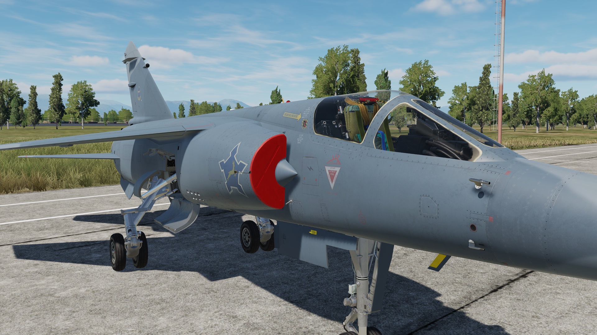 Mirage F1CZ Retirement Camouflage