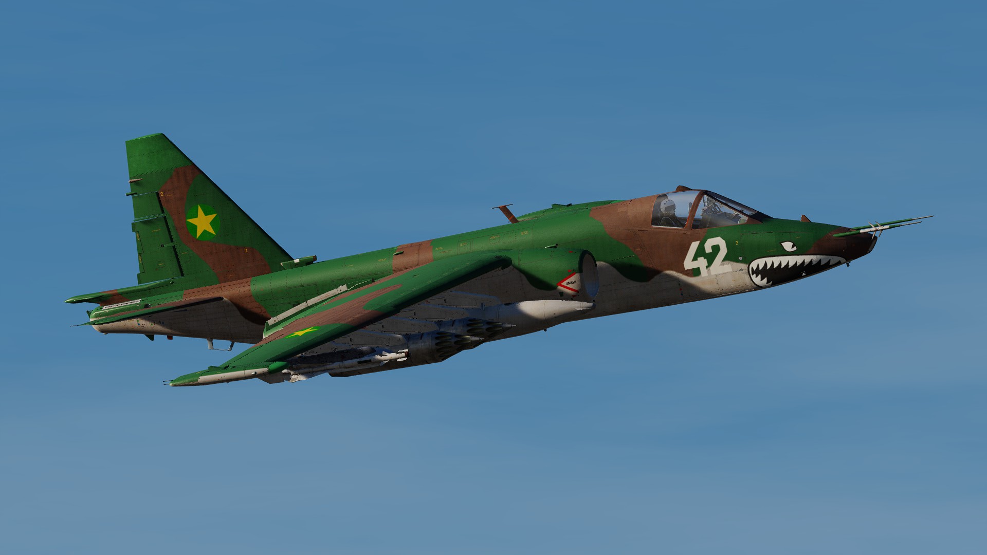 SU-25A - Chernarussian Defence Forces (CDF)