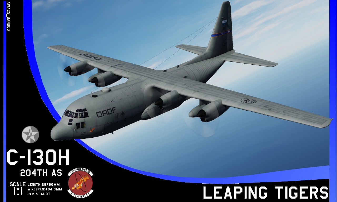 Ace Combat - 204th Airlift Squadron "Leaping Tigers" Pacifica Air National Guard C-130H