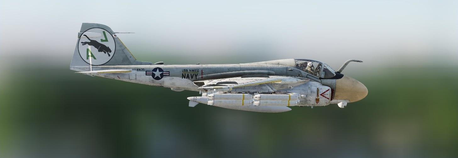 A-6E Intruder Pack of 15 VA-35 Black Panthers. 