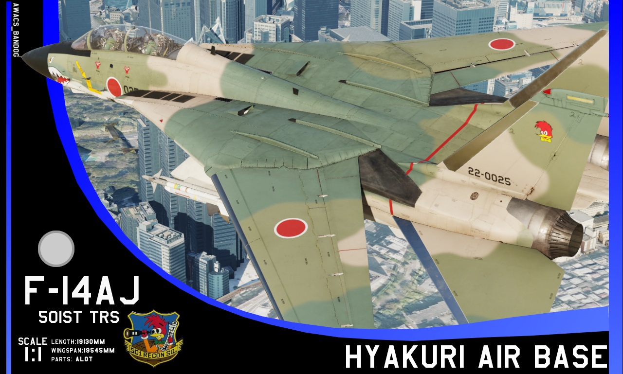 JASDF 501st Tactical Reconnaissance Squadron F-14AJ