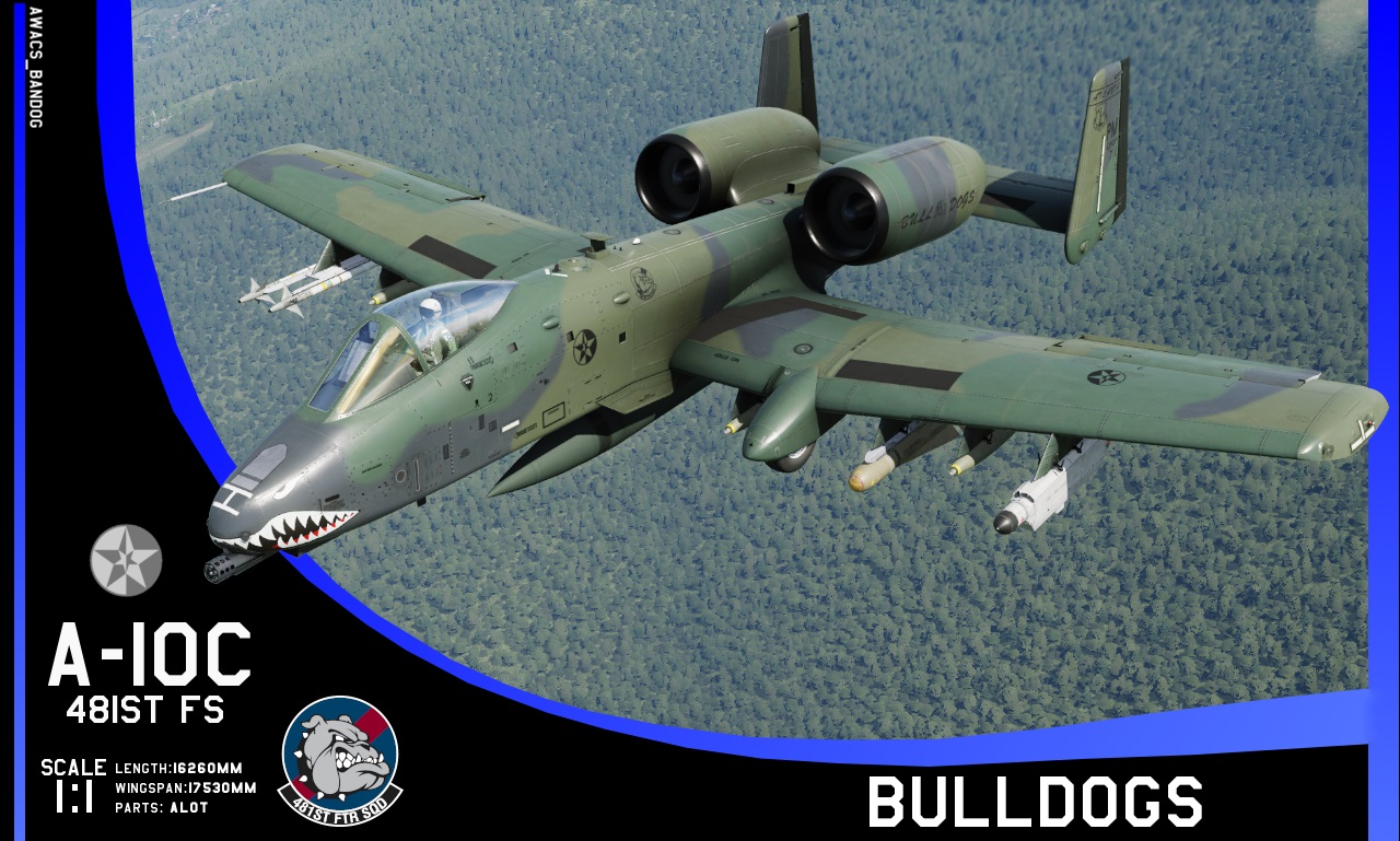 Ace Combat - 481st Fighter Squadron ‘Bulldog’ A-10 Atlanta Air National Guard