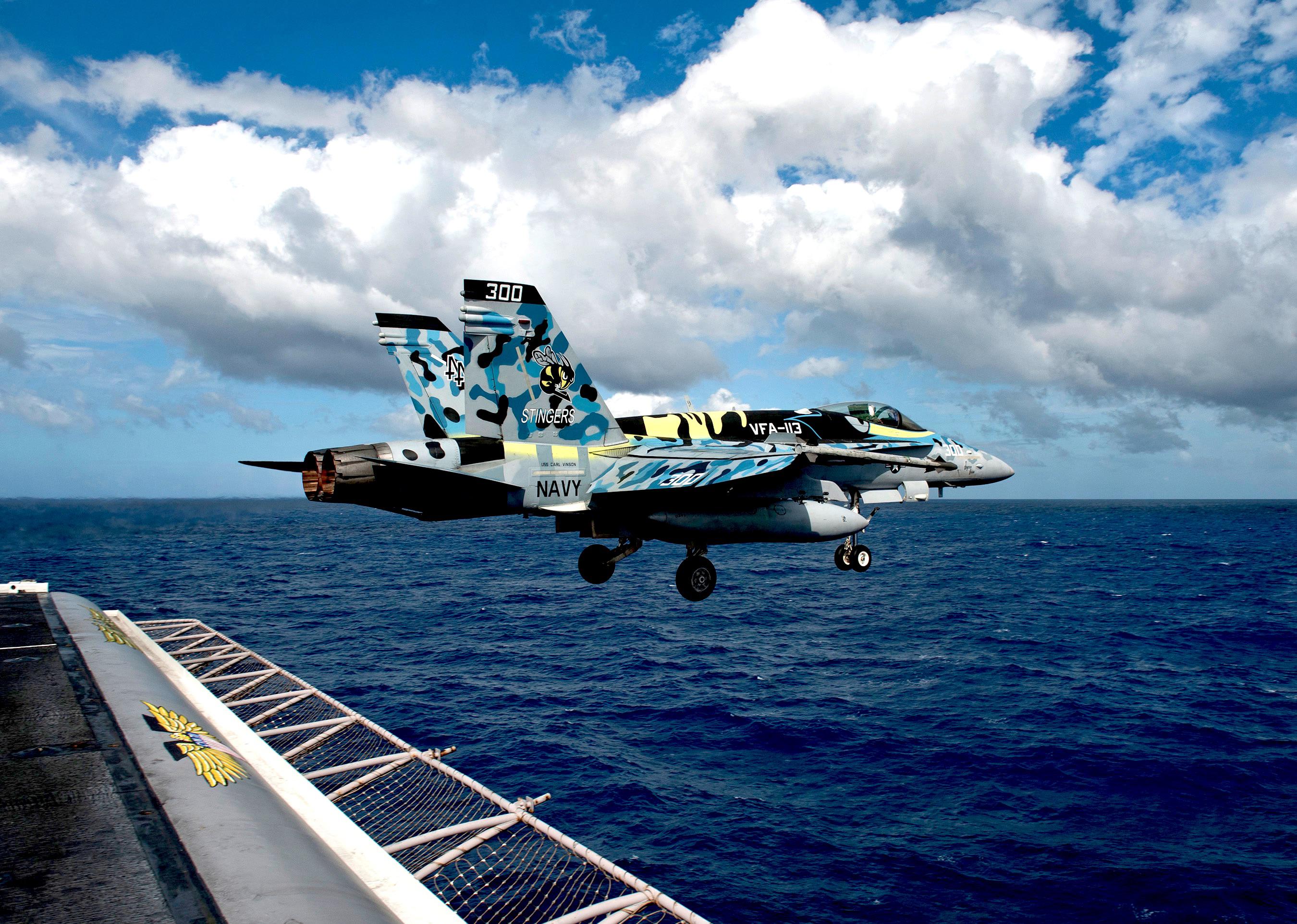 VFA-113 Stingers CAG bird Year One Super Bee