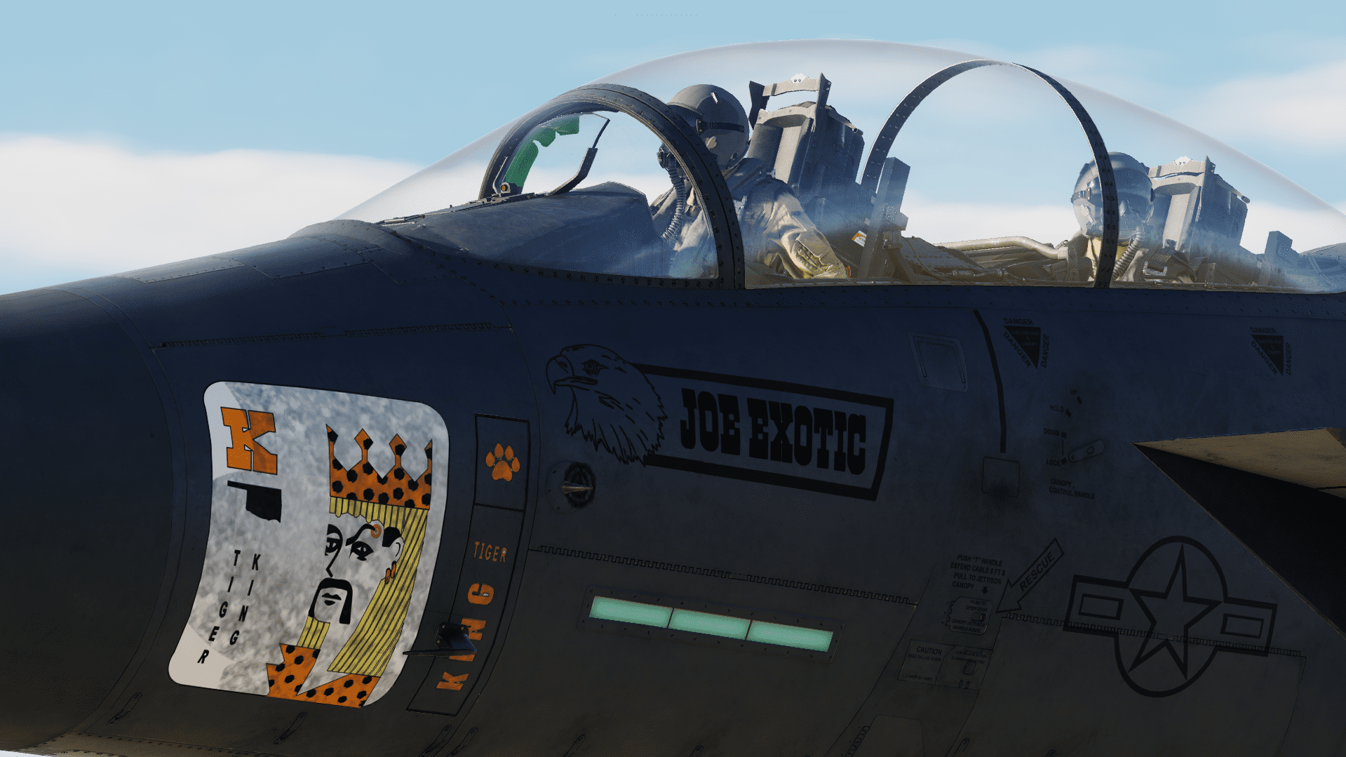 F-15E Strike eagle LN 91-604 "Joe Exotic"