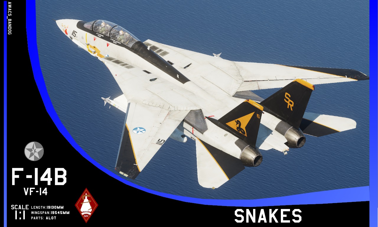 Ace Combat - Fighter Squadron 14 "Snakes" F-14B