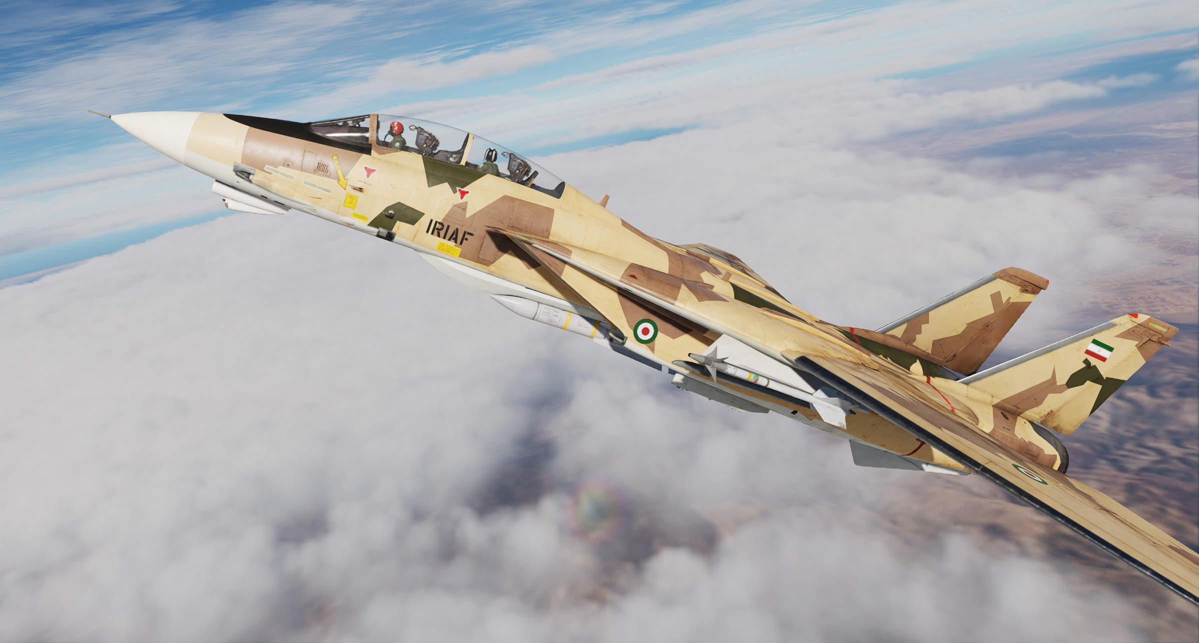 IRIAF F-14 - Splinter Camo