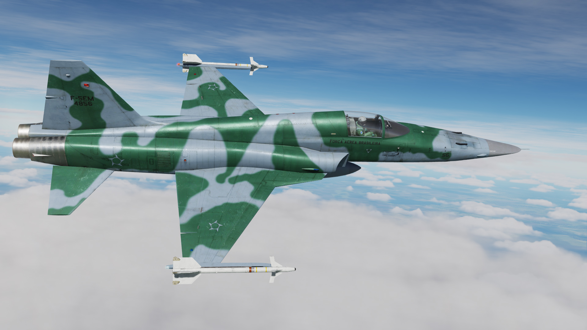 F-5M - FAB (Brazilian Air Force) 1º/4º "Esquadrão Pacau"