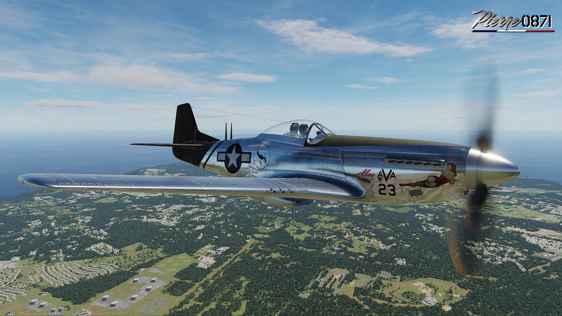 P-51/TF-51 Miss AVA 