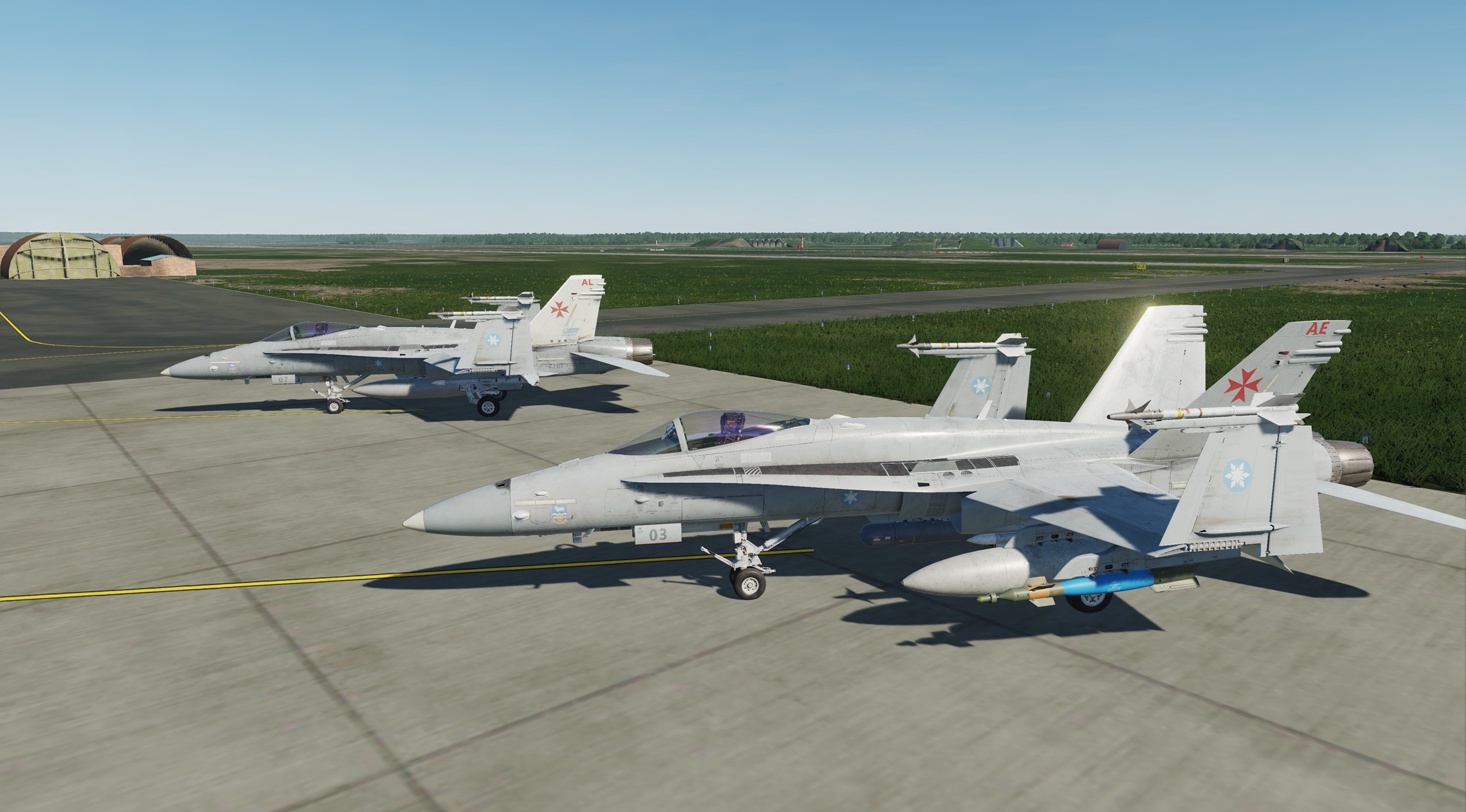 ACE COMBAT - F-18C - Aurelian Air Force - 1435th Flight V2 & White Tail