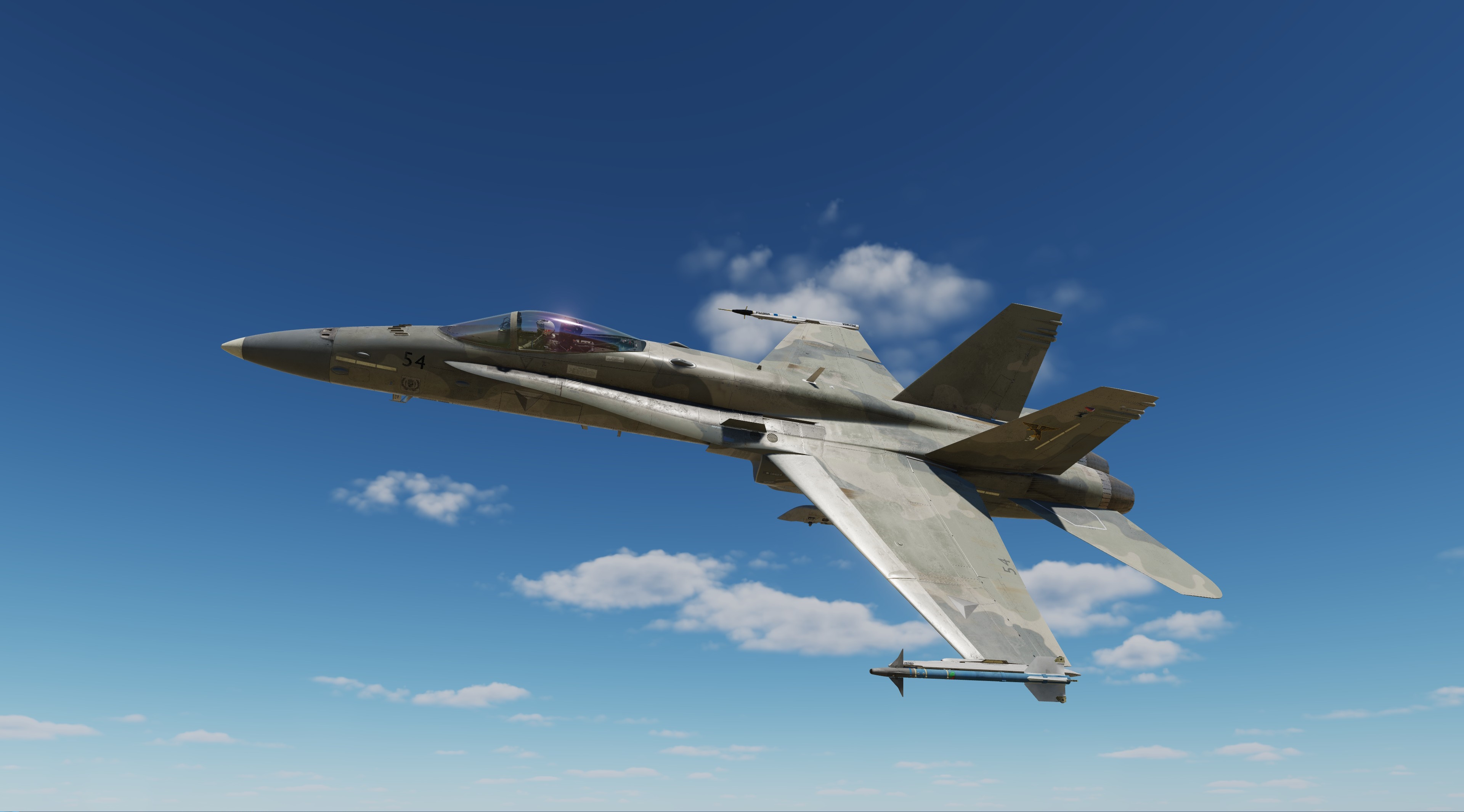 ACE COMBAT - F-18C - Nordennavic Royal Air Force - Sqn "Vosges" V1.1 SPA 91 only -Dirty-