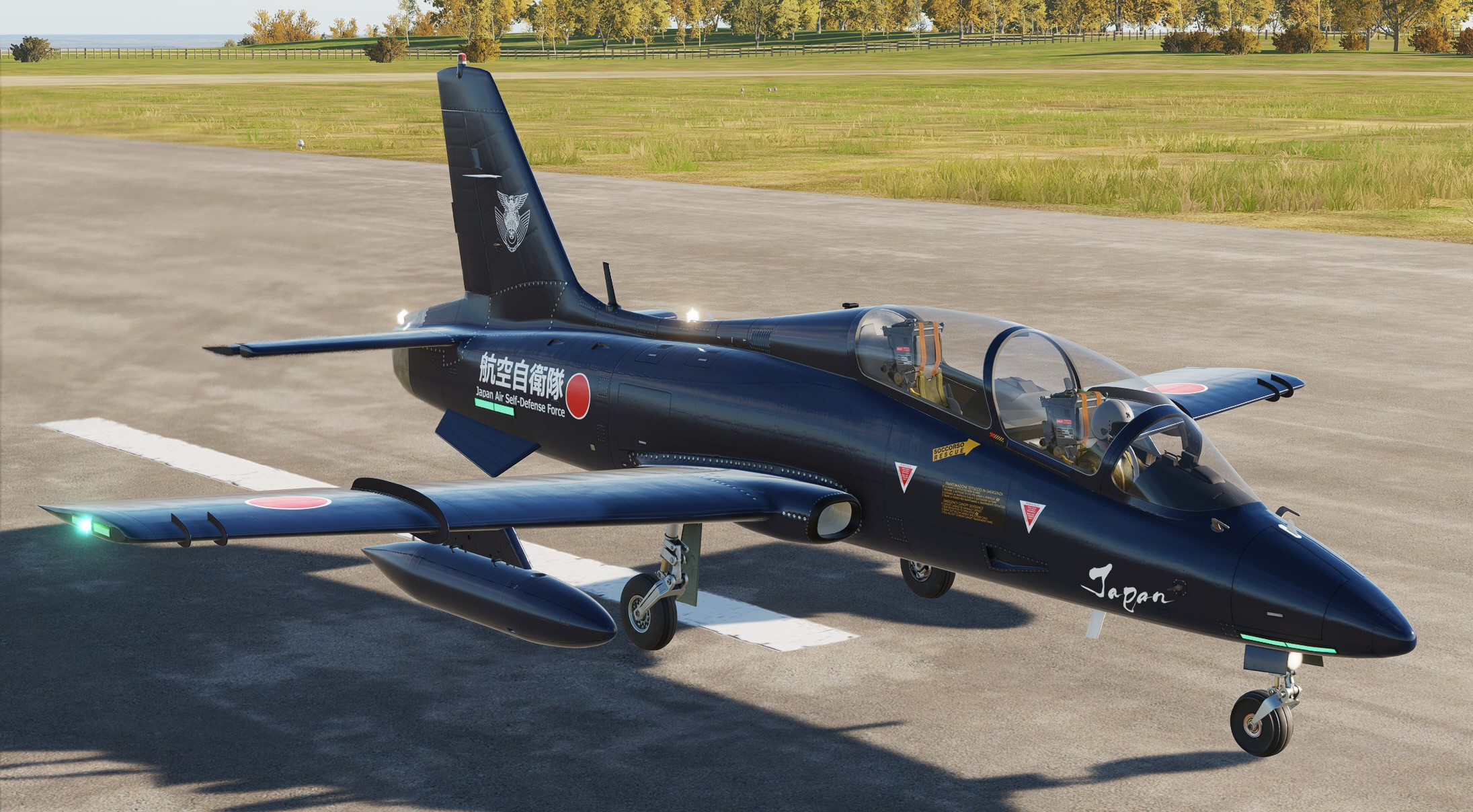 MB-339A/PAN "Midnight Blue" Japan Air Self-Defense Force #P0