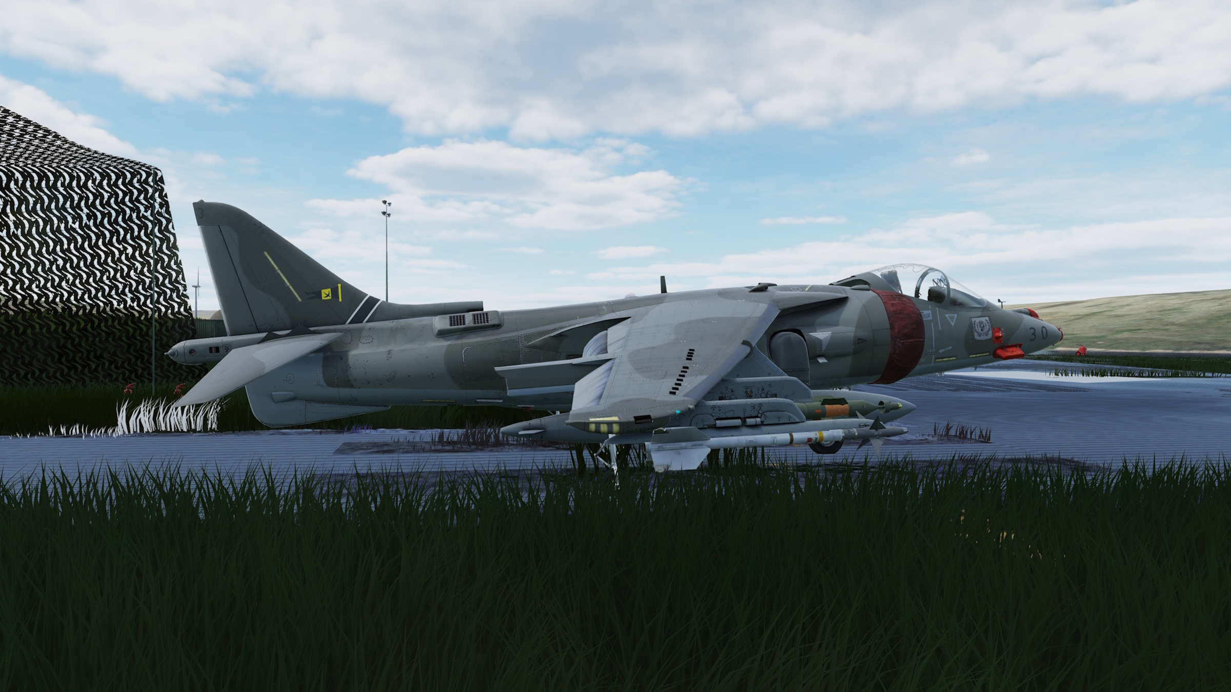  ACE COMBAT - AV-8BNA - Nordennavic Royal Air Force - Sqn "Navarre"