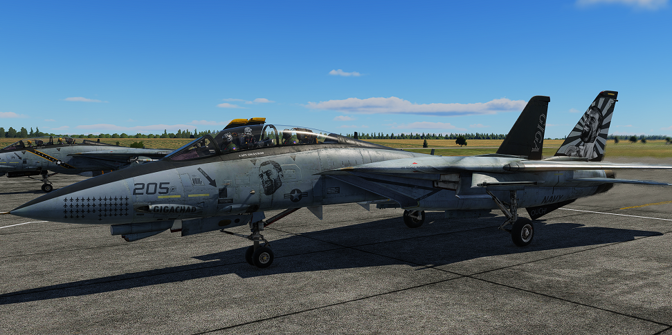 F-14 Gigachad Actual