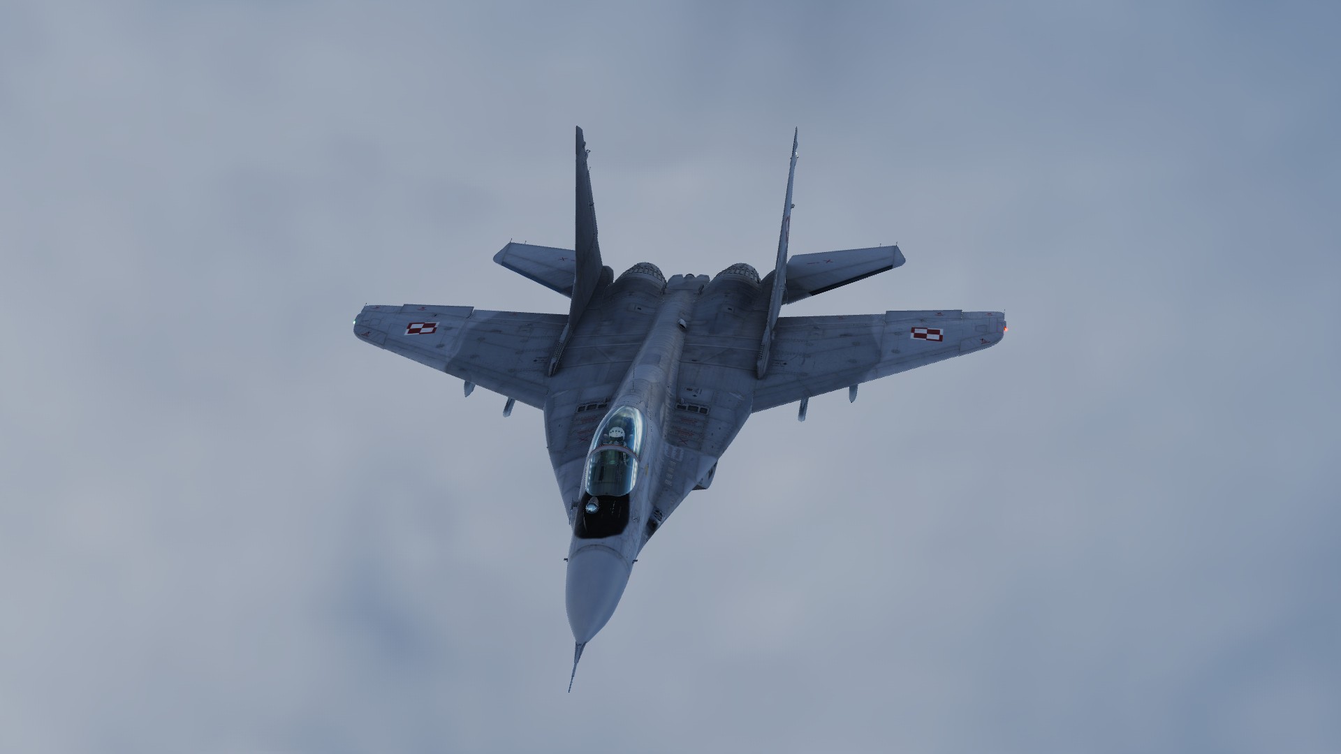 Polish Air Force MiG-29A (low-visibility)
