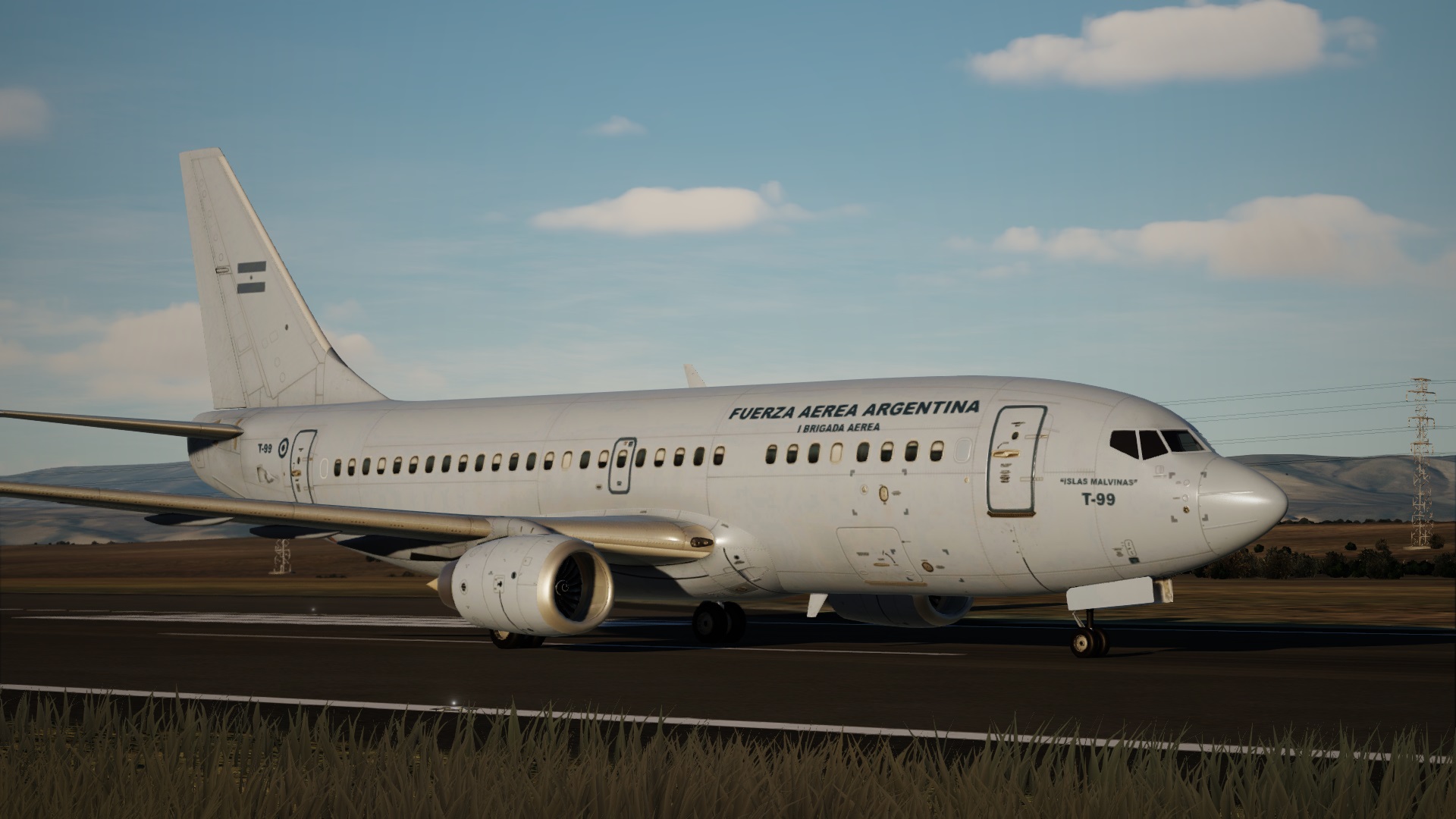 Argentine Air Force T-99 Livery For CAM's Boeing 737