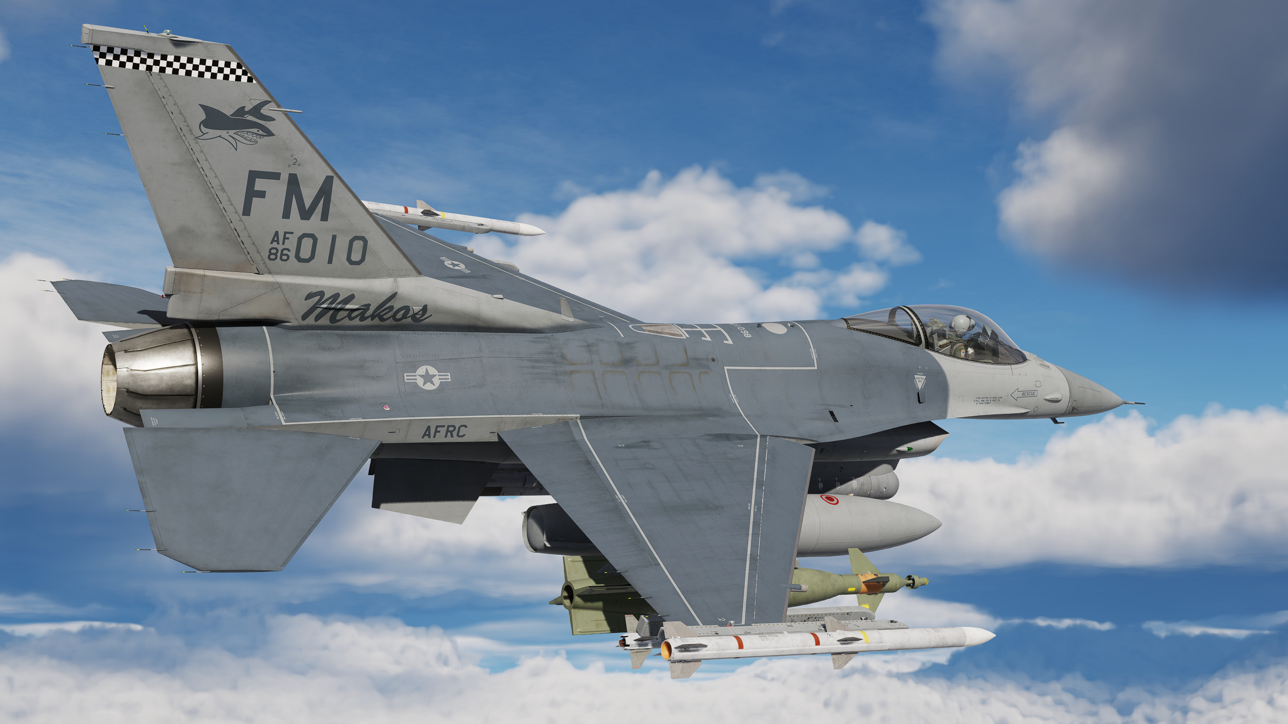 93rd Fighter Squadron - Florida Makos