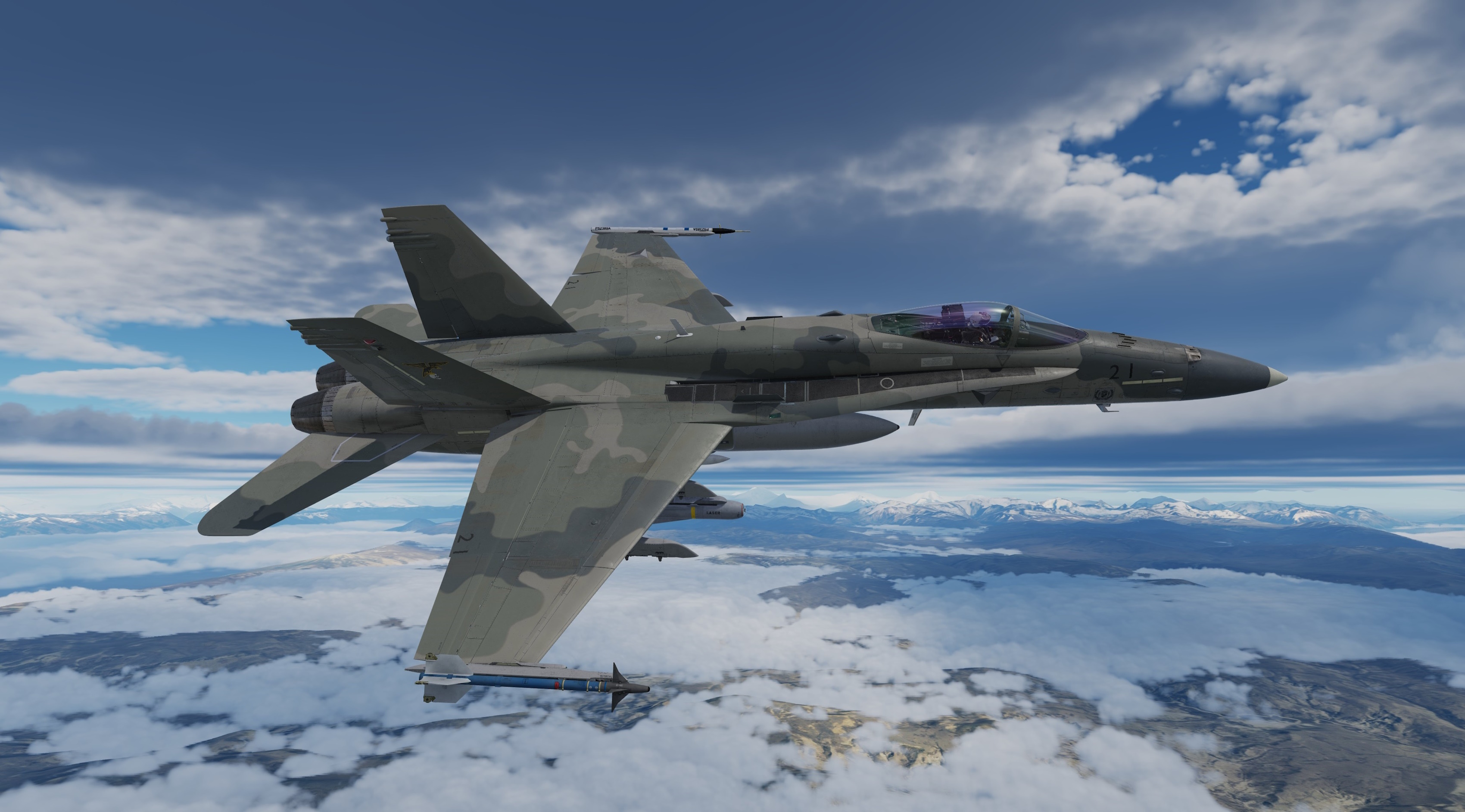 ACE COMBAT - F-18C - Nordennavic Royal Air Force - Sqn "Vosges" V1