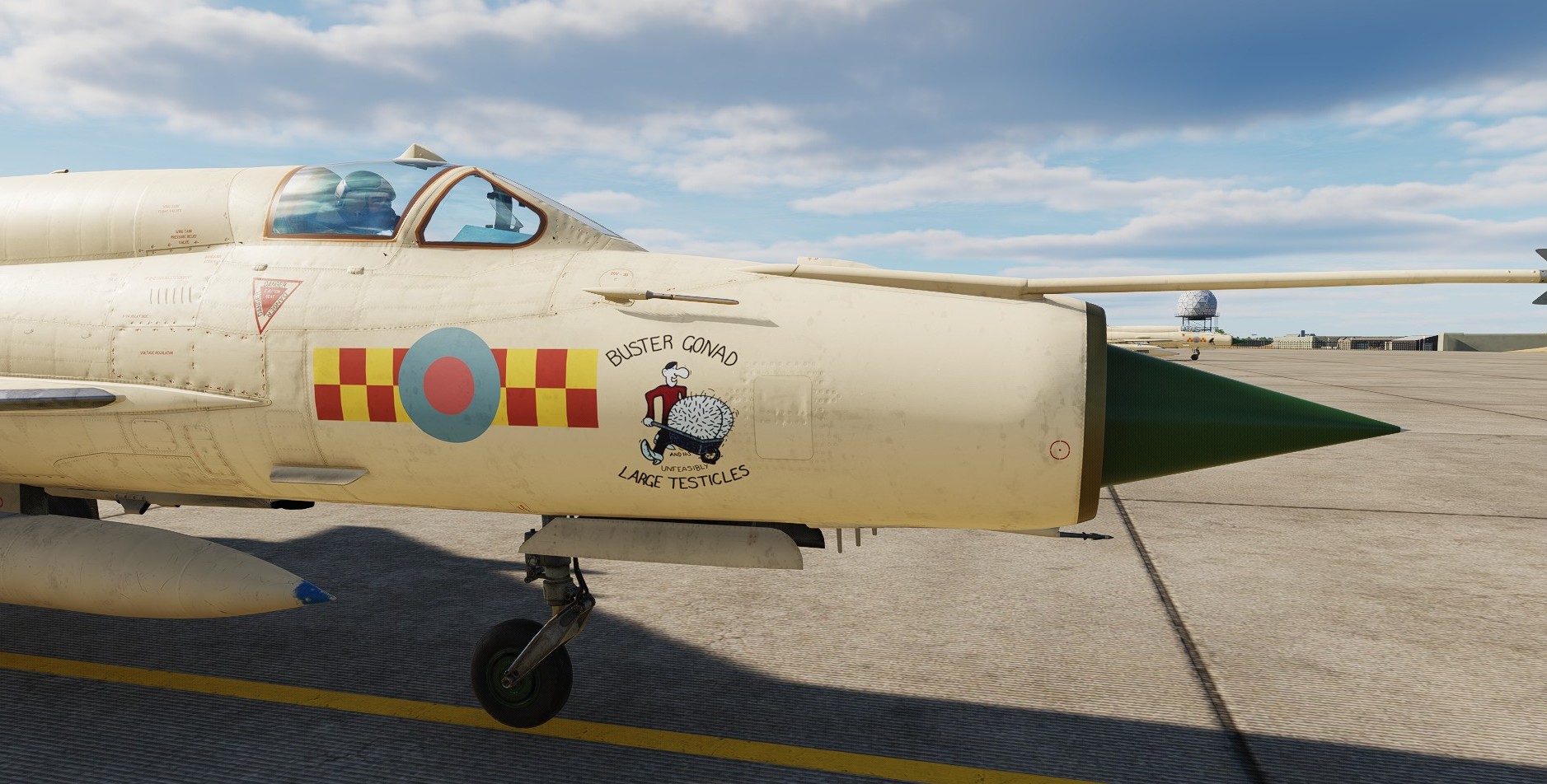 MiG-21bis : RAF Desert Sand - Mary Rose & Buster Gonad (Fictional)