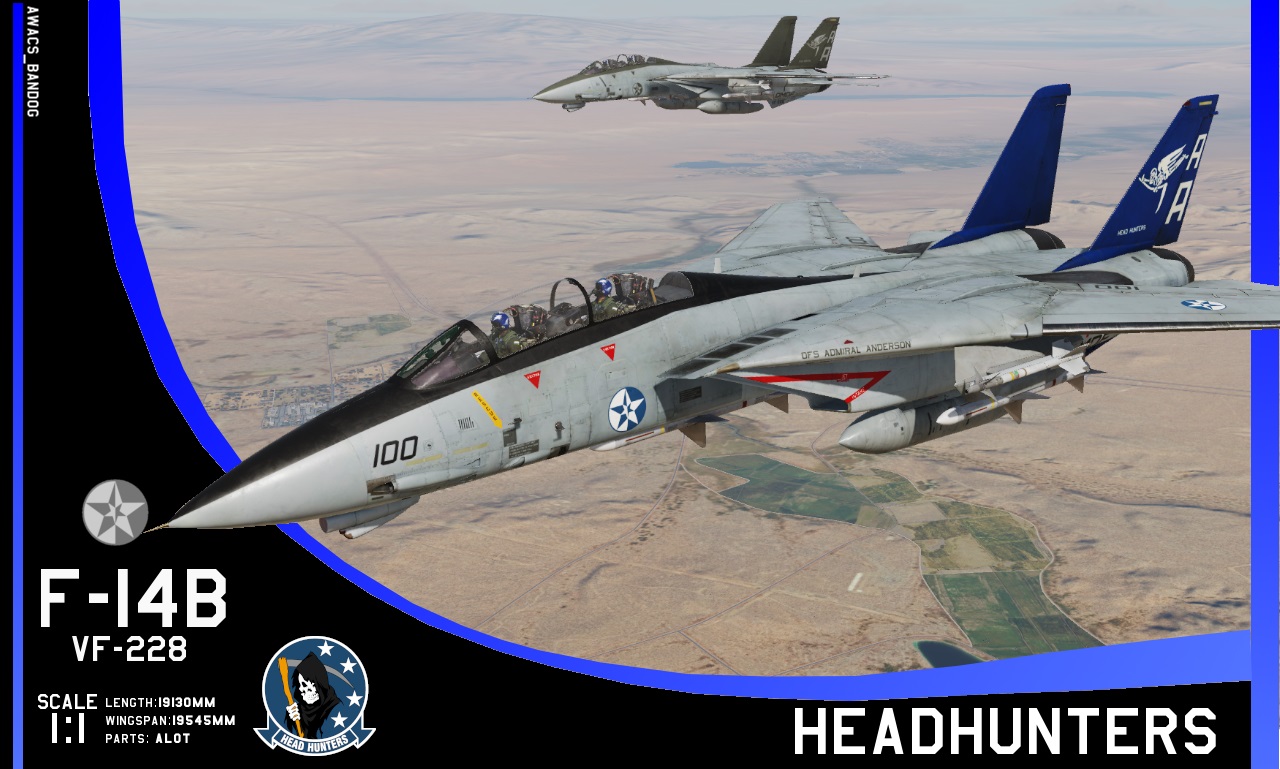 Ace Combat - VF-228 'Head Hunters' F-14