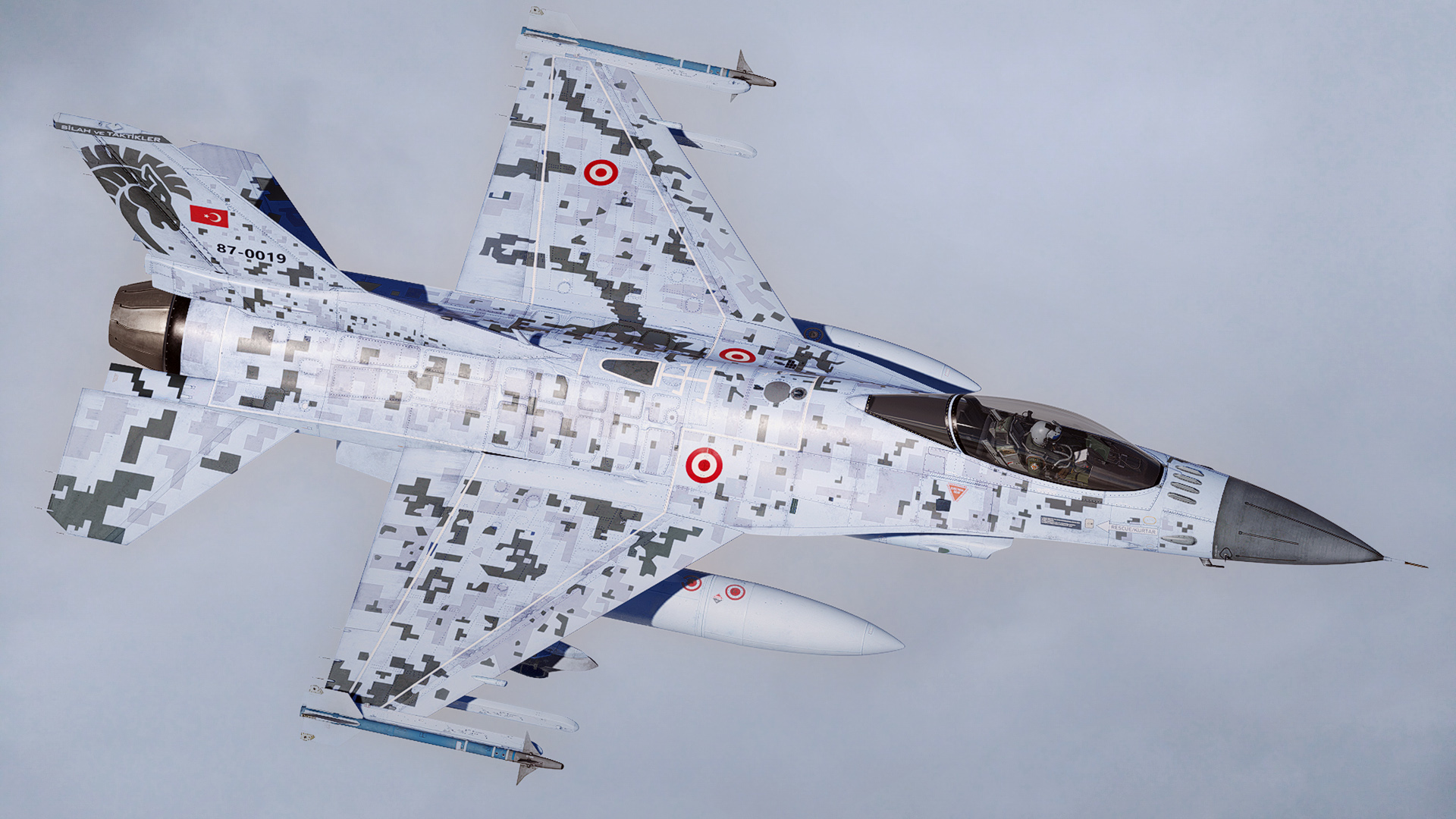 Özgür Modernization Project Special Camo