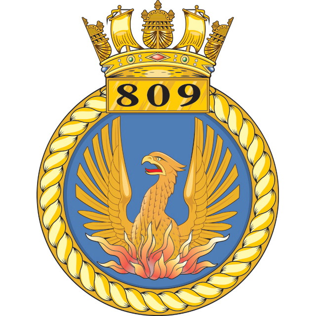 Royal Navy Air Squadron 809 "The Immortals" (RNAS)(Fictional)