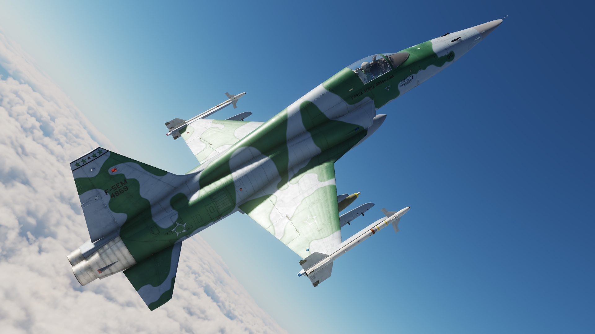F-5M - FAB (Brazilian Air Force) 1º/14º GAV "Esquadrão Pampa" (Outdated)